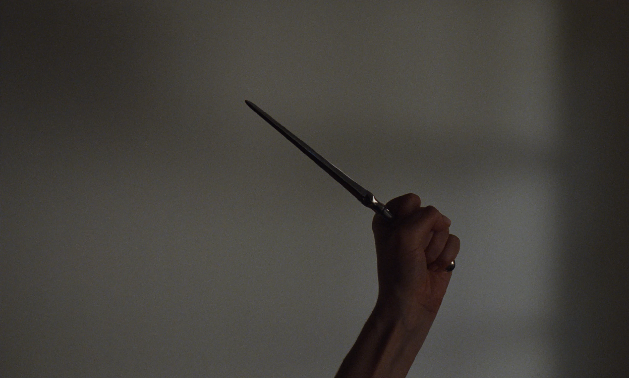 A raised fist with a ring on the little finger grips a slender blade against a dim grey wall